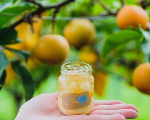 《布丁掉了，攻略12》（解密布丁掉落的终极秘籍，帮你顺利通关！）