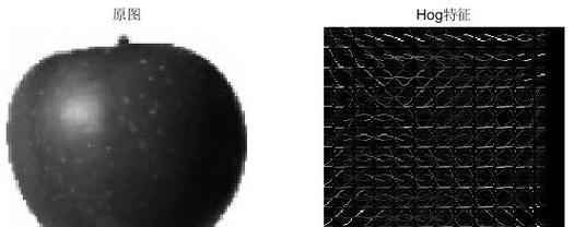 Hoggy2全攻略（成为Hoggy2的顶级玩家，探索无尽乐趣！）