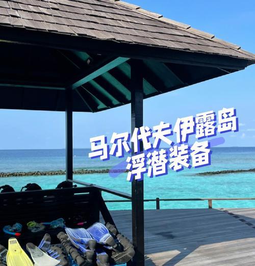 探索马尔代夫海底世界的潜水攻略（畅游印度洋，揭秘马尔代夫潜水的乐趣与技巧）