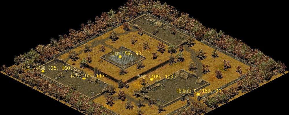 《刺客巫师神技能加点攻略》（揭秘最强刺客巫师，技能加点全解析！）