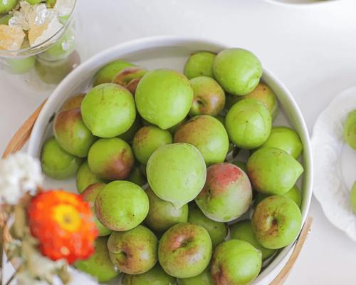 《以时之歌》食材采集指南（打造美味佳肴从这里开始！）