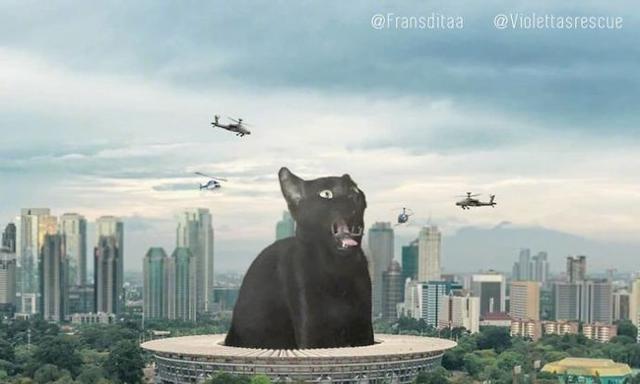 《怪兽猫咪出装攻略大全》（打造无敌战斗队伍！）