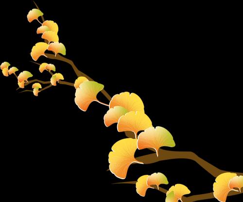 《以爱相随周冰攻略》（探寻周冰最佳亲密关系的秘诀）