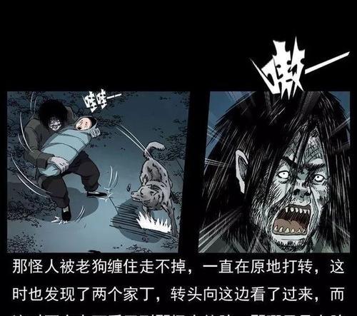 《小狗之谜游戏攻略大全》（探索小狗世界的最佳指南）