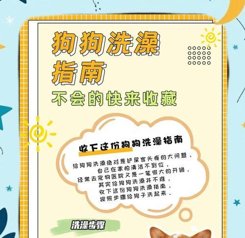 欢乐铲屎官游戏攻略（一键猫咪的快乐生活，猫奴们必看！）