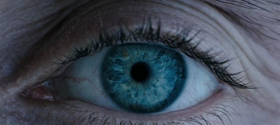 异形觉醒游戏攻略（揭秘游戏关键攻略，让你成为异形世界的统治者！）