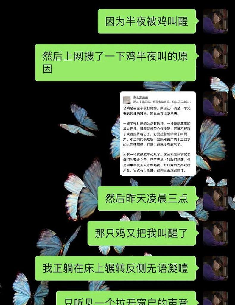 小鸡惊悚游戏攻略（以喂小鸡惊悚游戏攻略为主题，带你玩转小鸡惊悚的世界）