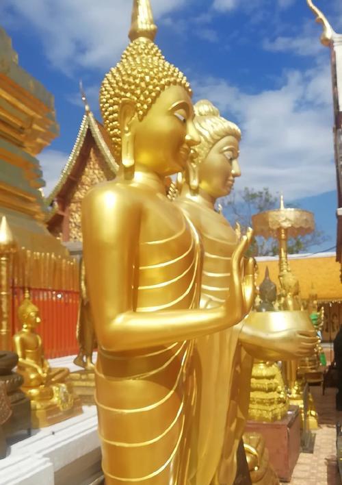 亚兰纳传奇攻略（探索奇幻世界，勇闯亚兰纳大陆，成就传奇！）