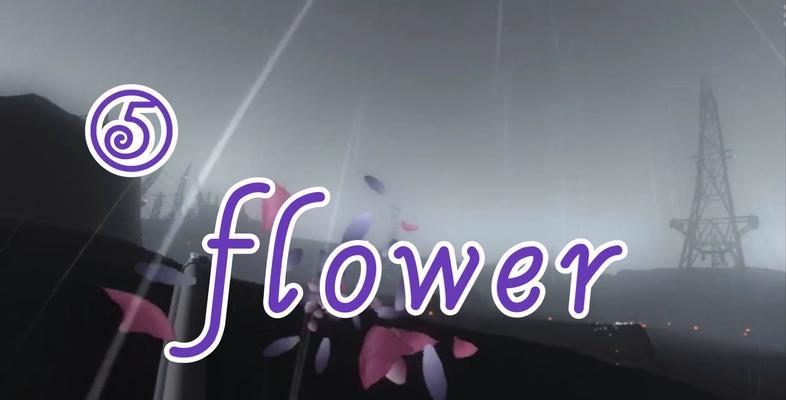 花之旅（一场关于爱与美的盛宴）