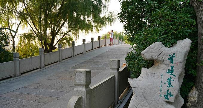 《黎明之光出装攻略大全最新》，（打造最强战力，成为黎明之光的主宰！）