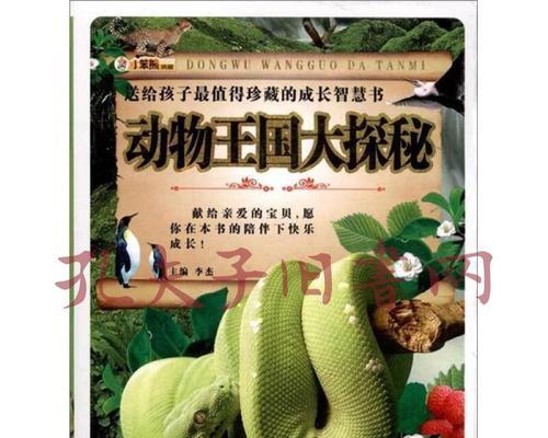 开心动物王国攻略（畅游奇妙王国，发现动物梦幻生活）