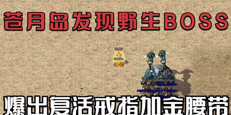 传奇苍月岛出装顺序攻略（一步步为你解析如何选择最佳装备，提升战斗能力）