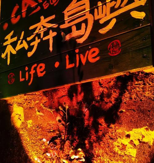 荒岛余生攻略（究竟怎样才能在荒岛上生存下去呢？）