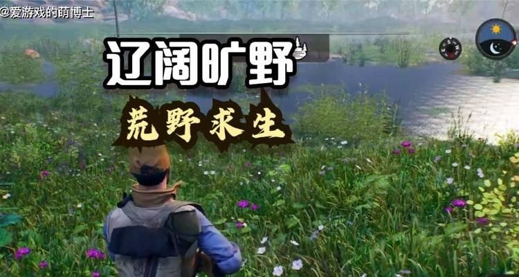 荒野求生游戏（冰雪世界的生存之道）