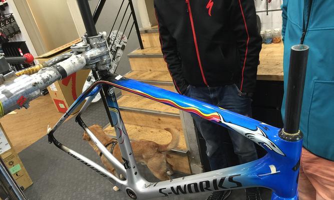 闪电鲨鱼（压制敌人，统领战局，提升胜率，这个关键装备绝不能错过！）