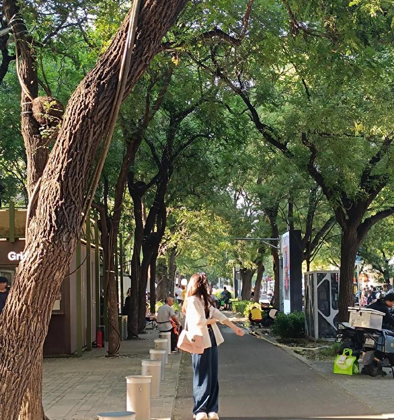 TNT游戏地图攻略（探索TNT游戏地图的奇妙之旅，让你成为爆破之王！）