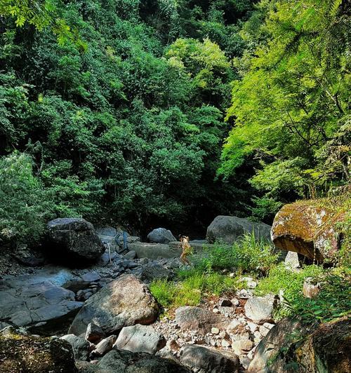 玩转溪流单人出装攻略（以溪流为主的单人出装攻略分享，助你成为强大的战士！）