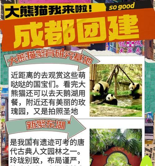 攻略成都市区，畅游都市风情（探索成都市区的魅力，体验独特的游戏之旅）