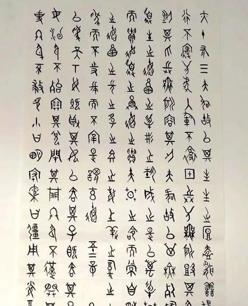 老虎出装铭文攻略指南（掌握最新老虎出装铭文，助你成为无敌猛虎）