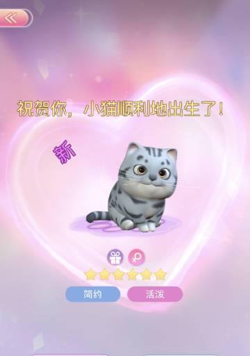 时光公主技能加点攻略（技能加点的技巧和策略，助你在时光公主中游刃有余）