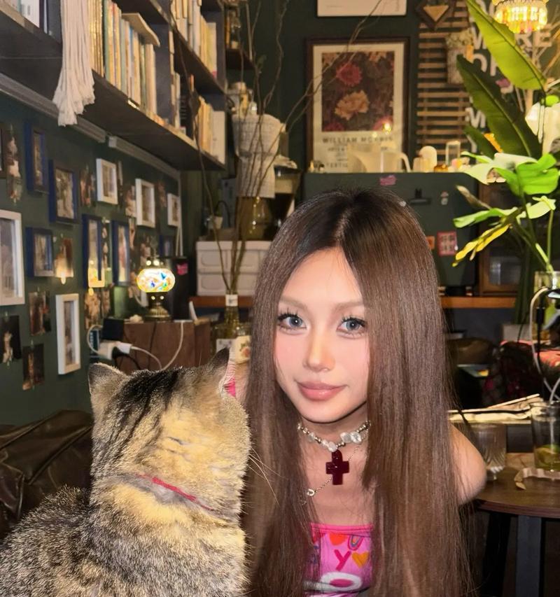 《猫咪射手出装铭文攻略》（教你如何选择适合猫咪射手的装备和铭文）