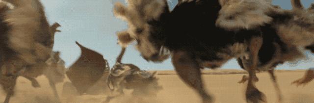 《以勇敢者游戏出装攻略》（打造无敌角色搭配，征服游戏世界！）