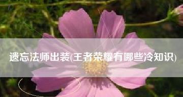 《湮灭法师出装云顶攻略》（如何打造无敌的湮灭法师？湮灭法师攻略，装备选择和技巧全解析！）