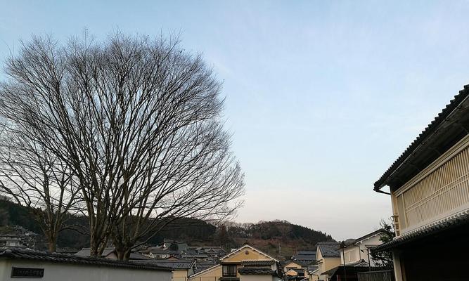 暖暖主页京都攻略