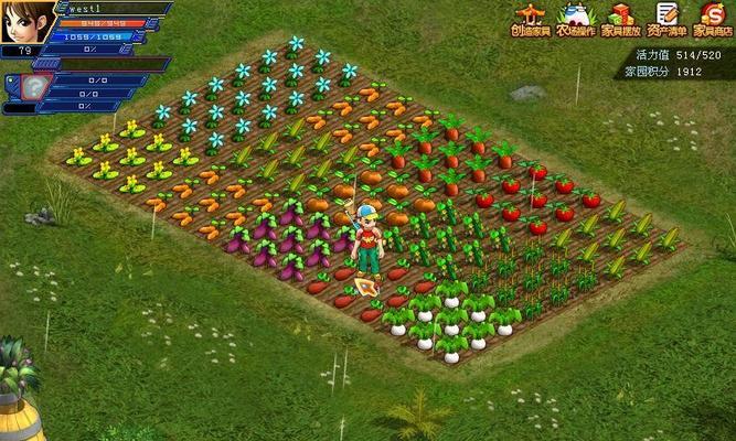 智慧与策略的博弈（掌握象棋之道，成就人生之旅）