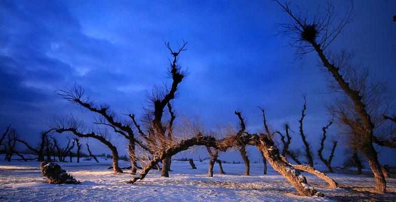 《以时之歌》中柳傲的烟花三月技能解析（技能属性介绍、应用技巧分析、玩家评价汇总）