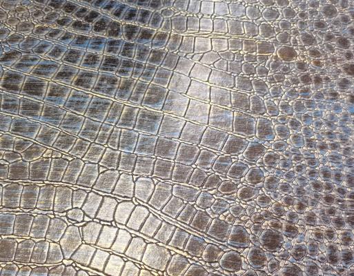 鳄鱼石头出装铭文攻略（携手鳄鱼石头，铸就无敌王者之路！）