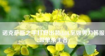 瓦罗兰之盾天赋出装攻略（打造完美防御体系，称霸战场，）