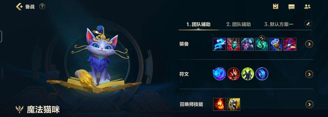 如何让猫咪快速移动出装攻略（让你的猫咪在出装时快如闪电，轻松适应各种场景）