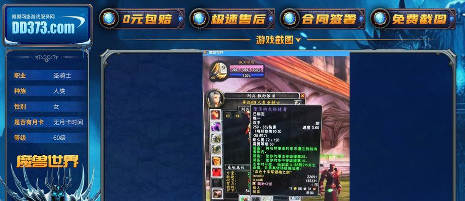 女圣骑士毕业装备选择攻略（打造完美女圣骑士，装备选择关键揭秘）