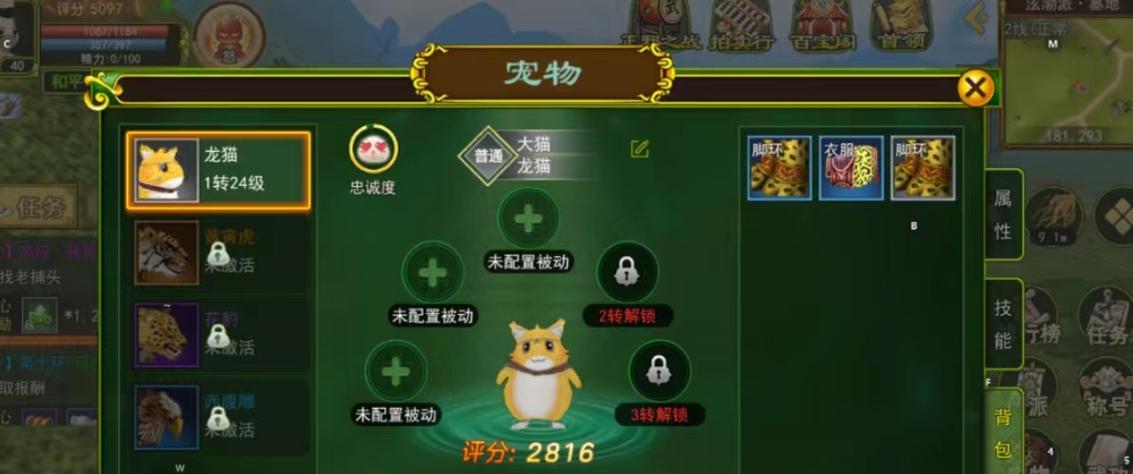 热血江湖（聚焦热血江湖中宠物装备合成系统，带你一探究竟！）