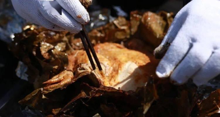 掌握荒岛求生任务的攻略，成为荒岛求生专家（从荒无人烟到自力更生，关键在于这三个要点）