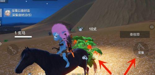 《山海玄马进化天马攻略》（打造最强天马，赢得胜利！）