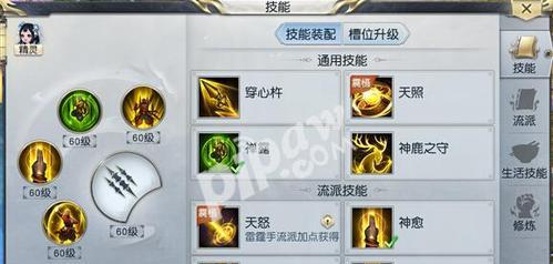 夜樱攻略指南（揭秘夜樱攻略，助你稳步提升实力）