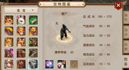 《南城问道手游攻略大揭秘》（从零到英雄，南城问道手游攻略全面解析）