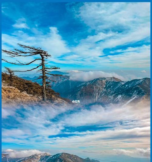 冰晶世界2出装攻略（打造强大装备，征服冰晶世界2的战场）