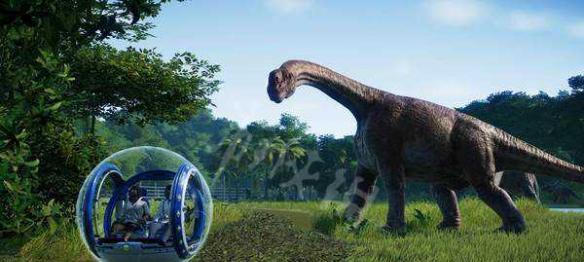 陀螺球滚动攻略——掌握技巧，成为陀螺之王（玩转陀螺球，轻松驾驭旋转的魔力）