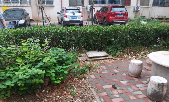 化妆钟馗出装攻略（化妆钟馗出装攻略，带你领略神秘妖艳的狐仙魅力）