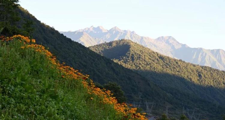 红石遗迹新手攻略（从零开始，快速学会利用红石技术打造精彩创意！）