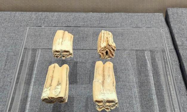 《石器时代M》游戏狩猎玩法全面解析（探秘野外狩猎技巧、解锁狩猎装备、挑战高难度狩猎副本）