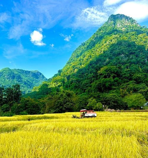 如何以15层大米出装攻略学生（用有限的资源打造高效学习环境，解锁学业成就）