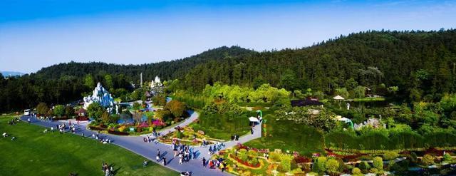 斗战神青龙仙境攻略（攻略、挑战、收获——解密斗战神青龙仙境的奥秘）