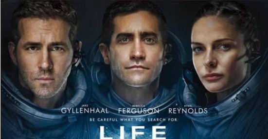 掌握阿尔卑斯怪兽出装攻略，驰骋战场无往不利（揭秘阿尔卑斯怪兽的关键装备选择，助你称霸王者荣耀战场）