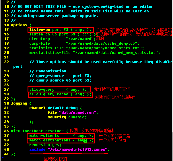 DNS服务在网络中的应用