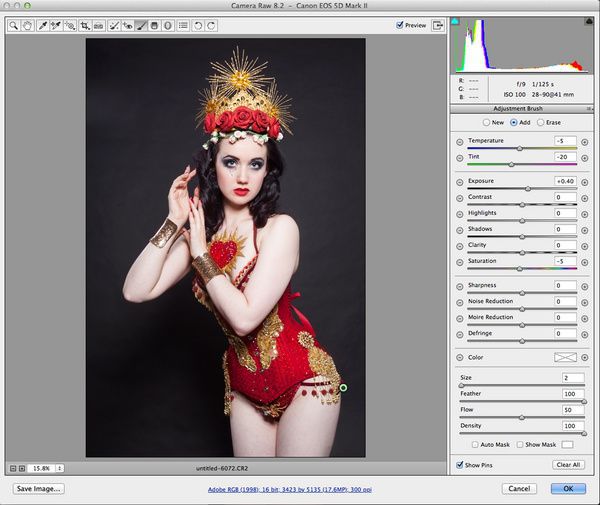 后期修图神器!PS CC Camera Raw修图 后期修图神器!PS CC Camera Raw修图
