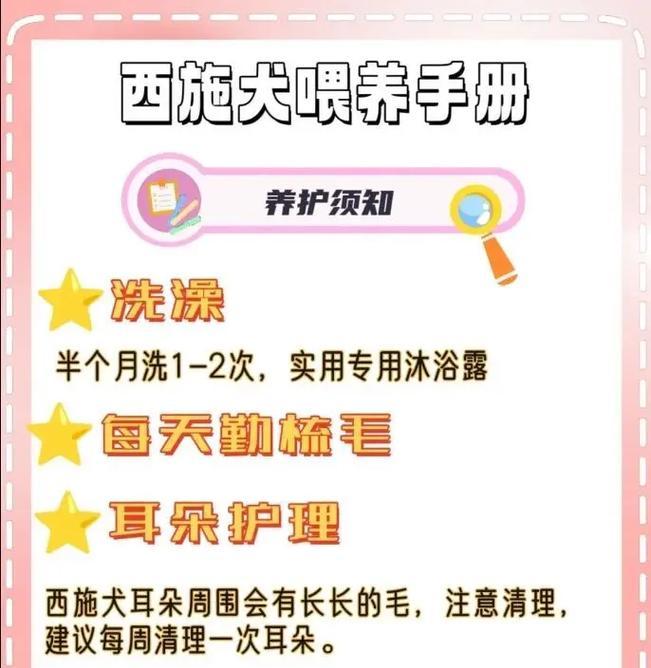 《潘北真香西施出装攻略》（打造最强攻击力，绝对秒杀敌人！）